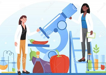 Supply Chain Security